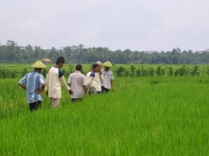 Pembangunan Pedesaan dan Perkembangan Pertanian oleh Nestlé